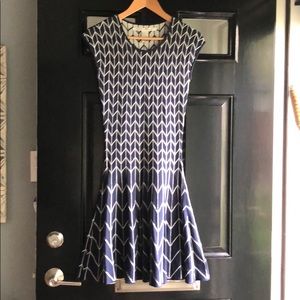 Blue and white Max Studio dress